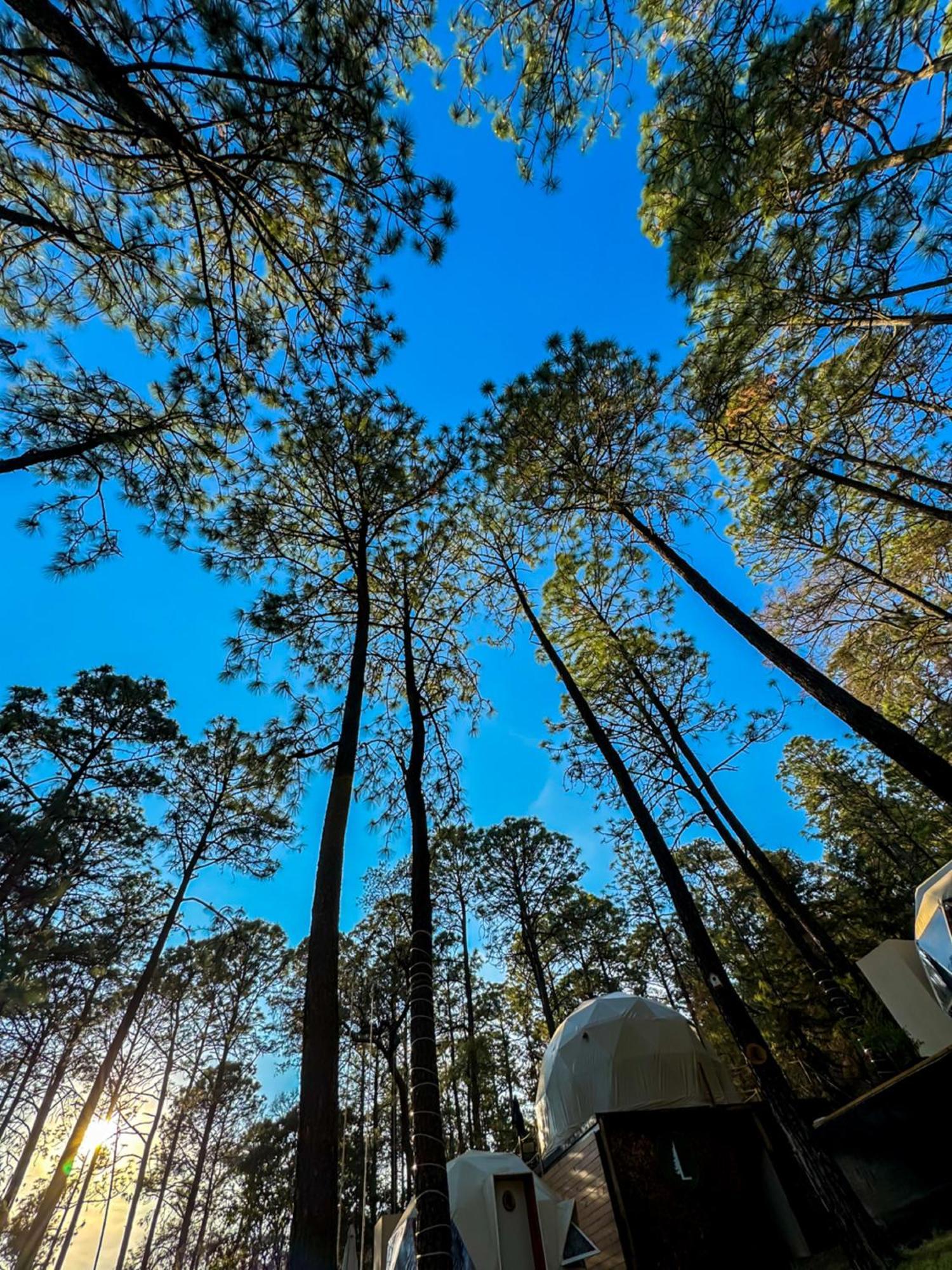 Luahara Glamping Tapalpa - Domo Natural Experience Buitenkant foto